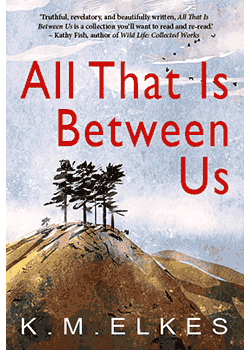 All That Is Between Us : K.M. Elkes