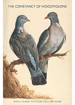 The Constancy of Woodpigeons : Bath Flash Fiction Volume Nine